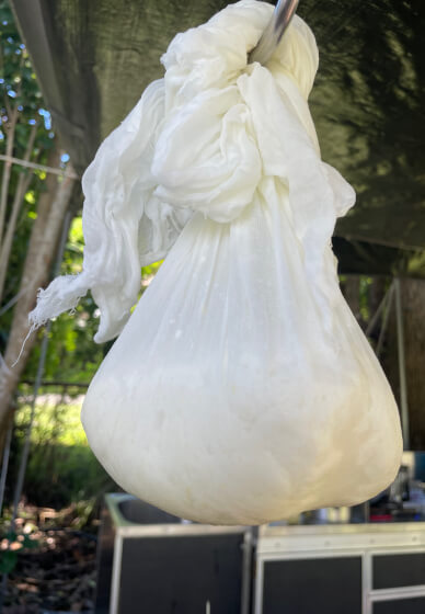 Cheese Making Workshop