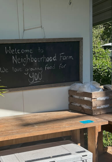 Cheese Making Workshop