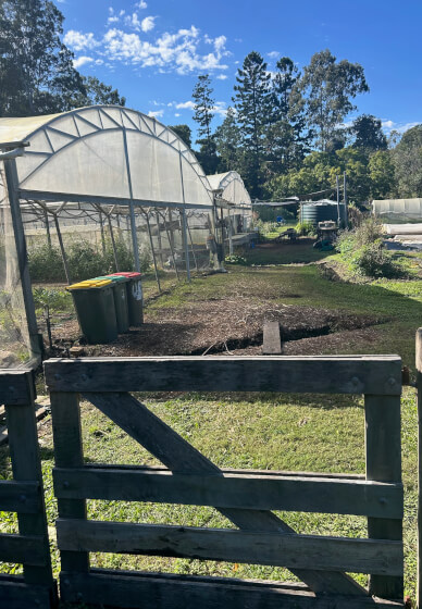 Cheese Making Workshop
