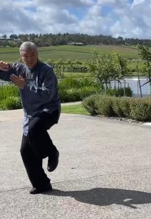Chen Style Taijiquan Fundamentals Class