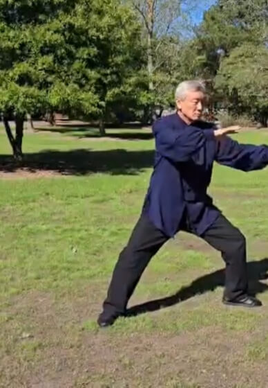 Chen Style Taijiquan Fundamentals Class