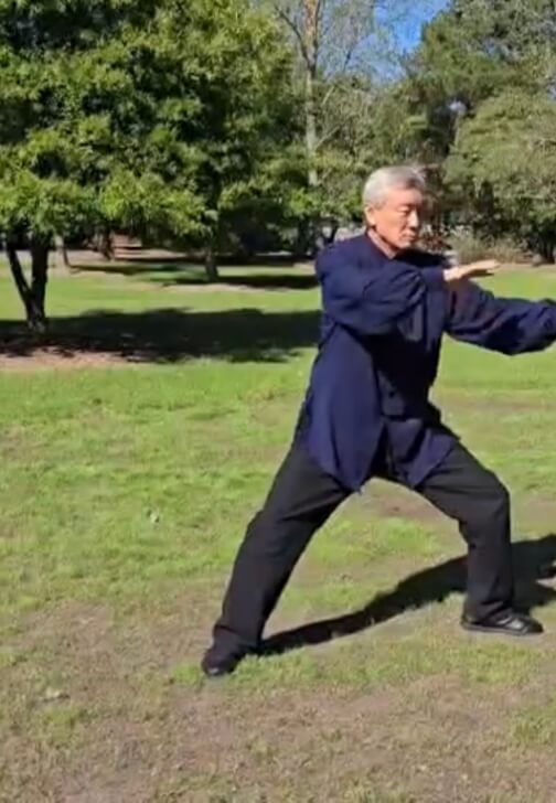 Chen Style Taijiquan Fundamentals Class