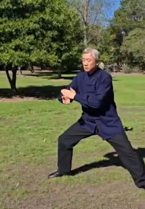 Chen Style Taijiquan Fundamentals Class