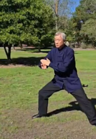 Chen Style Taijiquan Fundamentals Class