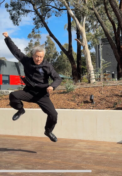 Chen Style Taijiquan Fundamentals Class