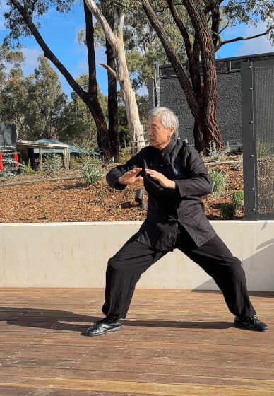 Chen Style Taijiquan Fundamentals Class
