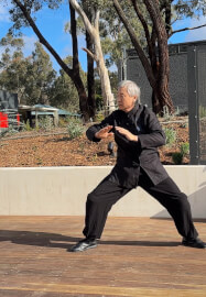Chen Style Taijiquan Fundamentals Class