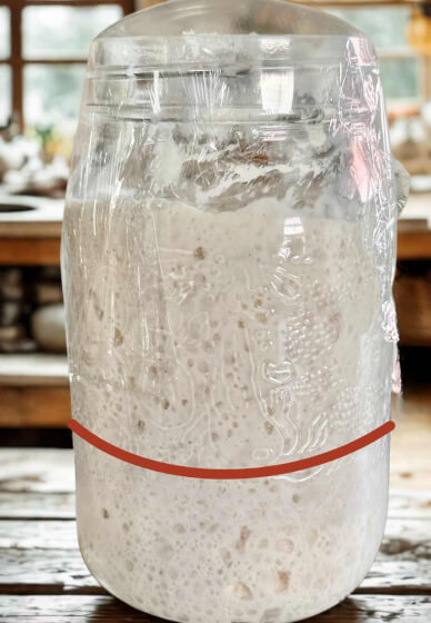 Childrens Sourdough Workshop