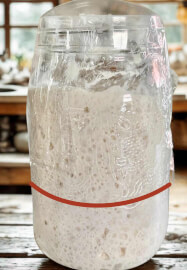 Childrens Sourdough Workshop