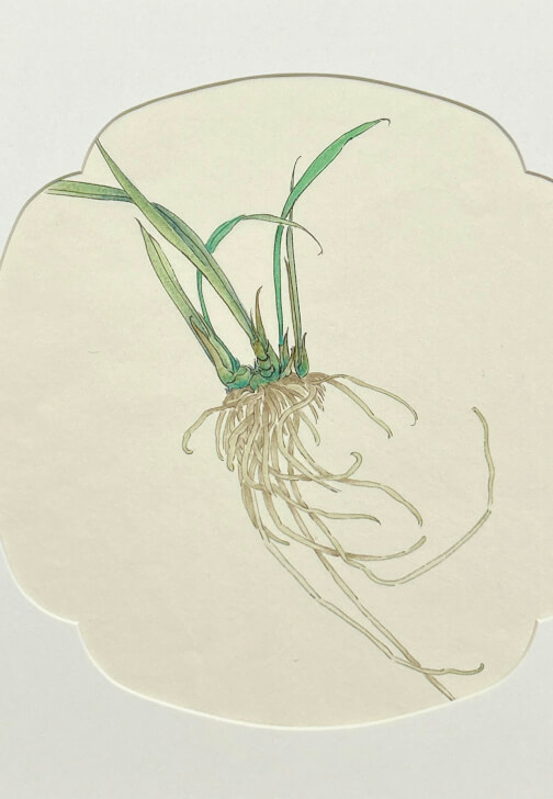 Chinese Gongbi Painting Class: A Meditative Art Journey
