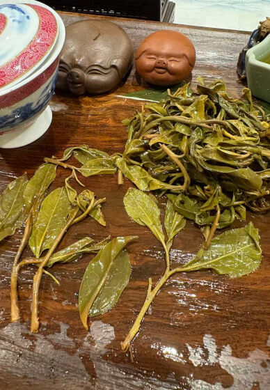 Chinese Tea Course