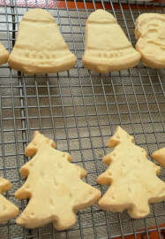 Christmas Cookies Decorating Hands-On Class (Ryde)