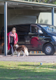 Australian Native Blooms Christmas Table Styling Workshop