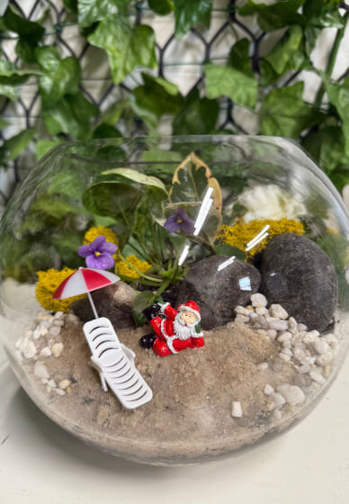 Christmas Terrarium Workshop