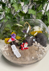 Christmas Terrarium Workshop