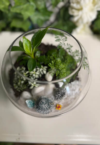 Christmas Terrarium Workshop