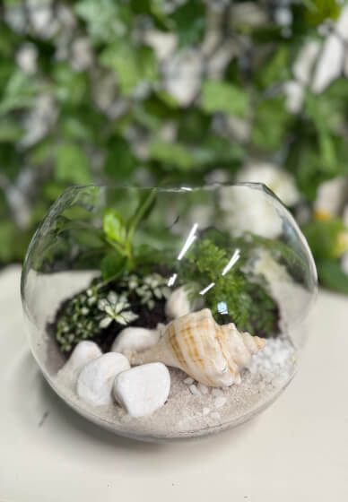 Christmas Terrarium Workshop