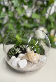 Christmas Terrarium Workshop