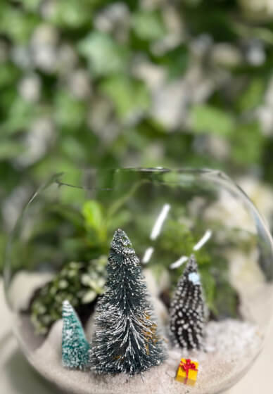 Christmas Terrarium Workshop
