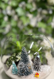 Christmas Terrarium Workshop