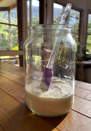 Classic Sourdough Workshop