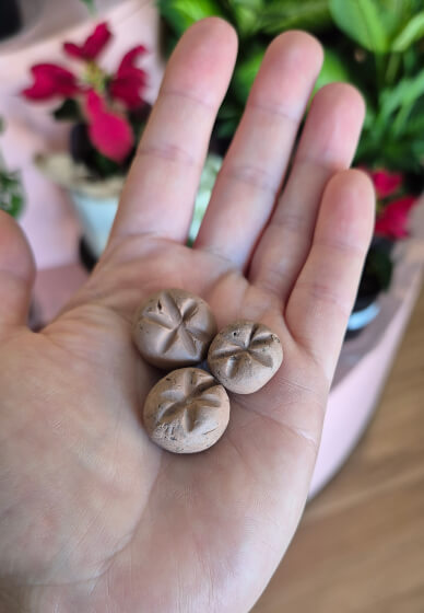 Clay Seed Ball Class for Kids