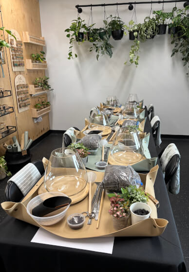 Closed Terrarium Making Workshop