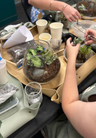 Closed Terrarium Making Workshop