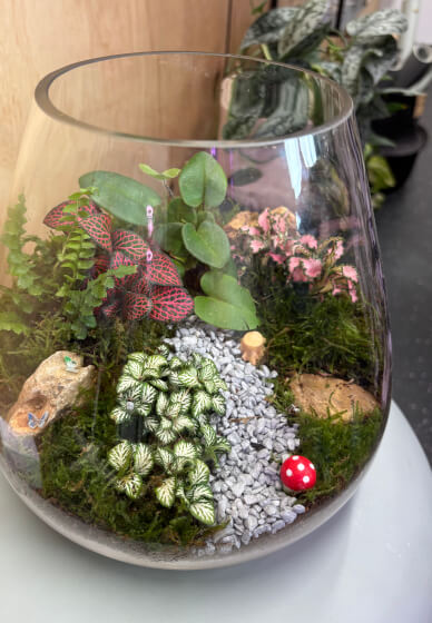 Closed Terrarium Making Workshop