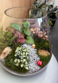 Closed Terrarium Making Workshop