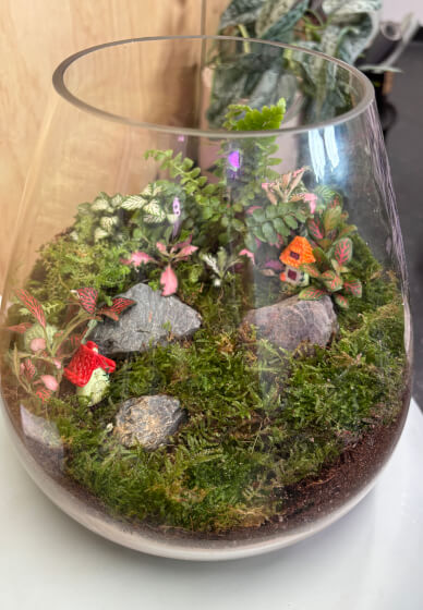 Closed Terrarium Making Workshop