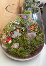 Closed Terrarium Making Workshop