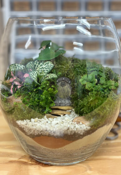 Closed Terrarium Making Workshop