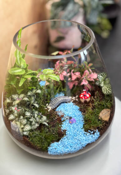Closed Terrarium Making Workshop