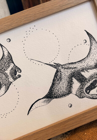 Coastal Creatures: Marine Life Drawing Workshop