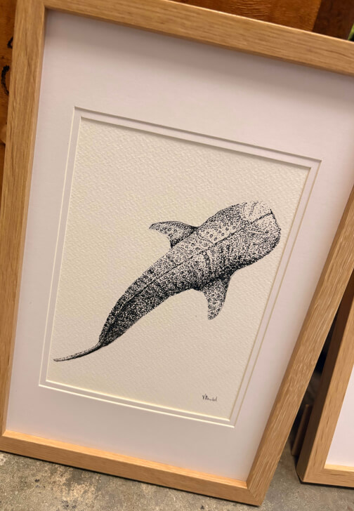 Coastal Creatures: Marine Life Drawing Workshop