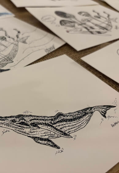 Coastal Creatures: Marine Life Drawing Workshop