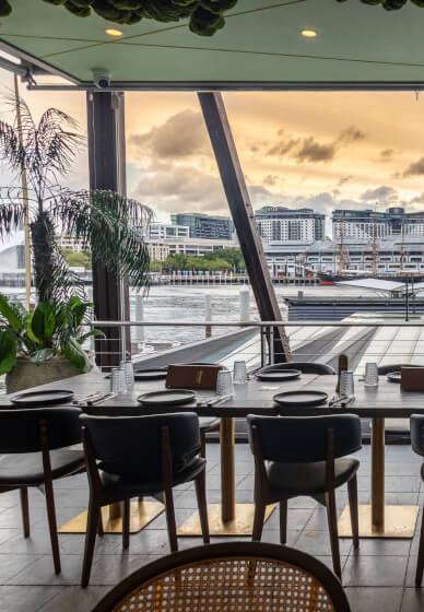 Cocktail Making Class