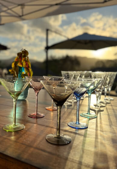 Cocktail Making Class: Tropical Paradise Recipes