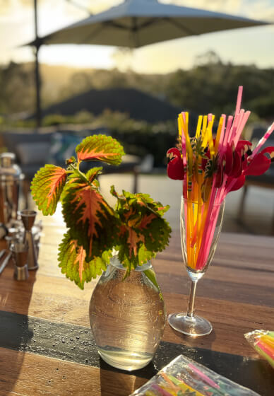 Cocktail Making Class: Tropical Paradise Recipes