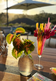 Cocktail Making Class: Tropical Paradise Recipes