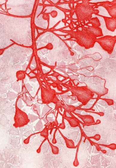 Collagraph Printing Workshop