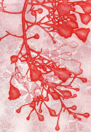 Collagraph Printing Workshop