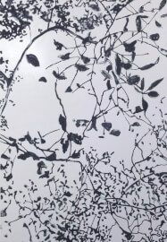 Collagraph Printing Workshop