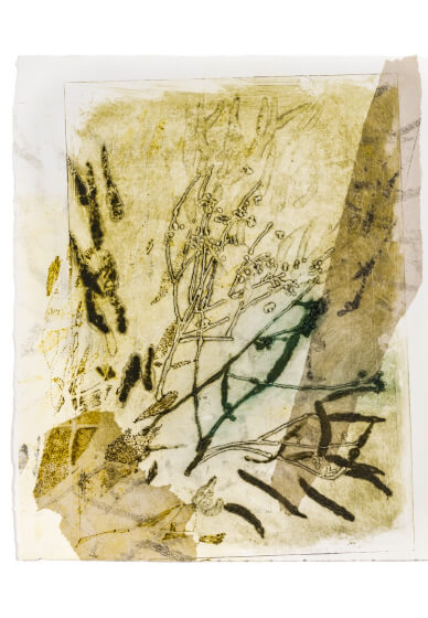 Collagraph Printing Workshop