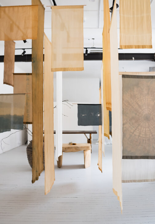 Contemporary Plant Dye Workshop