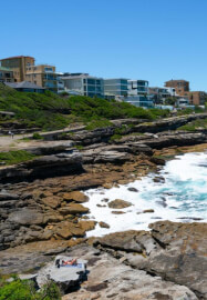 Coogee to Bondi Coastal Walk and Lunch at Bondi Icebergs