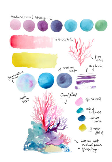 Coral Watercolour Painting Class