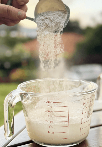 Craft and Paint Your Own Plaster Masterpiece NDIS Friendly