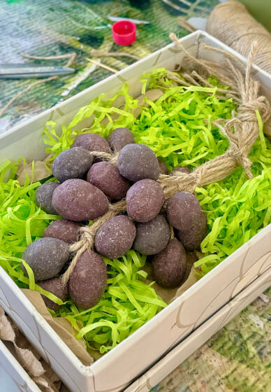 Craft Your Own Natural Grape Soap Workshop